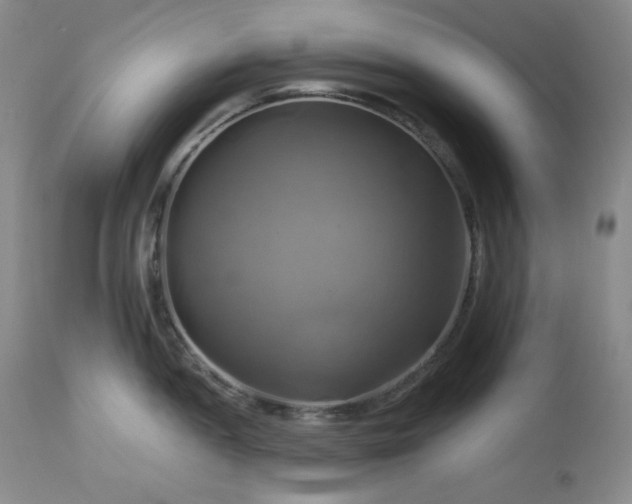 X0000113051052200908271526