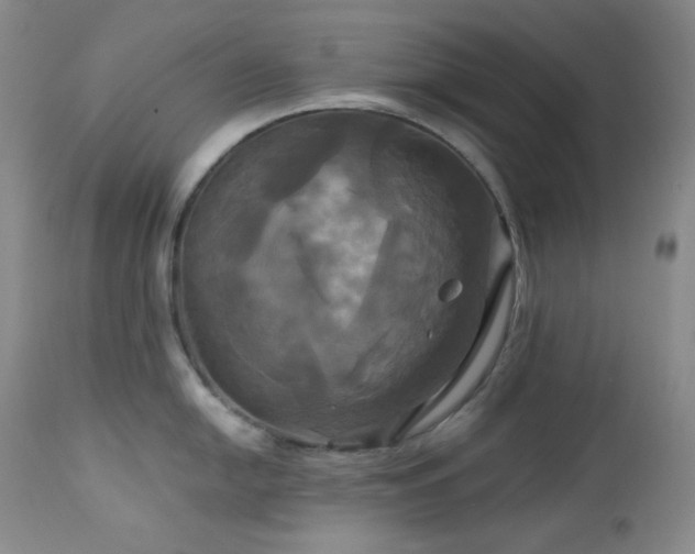 X0000113051054200908271526