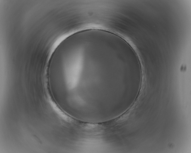 X0000113051056200908271526