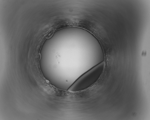 X0000113051057200908271525