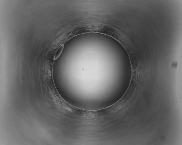 X0000113051058200908271525