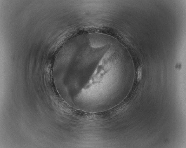 X0000113051059200908271525