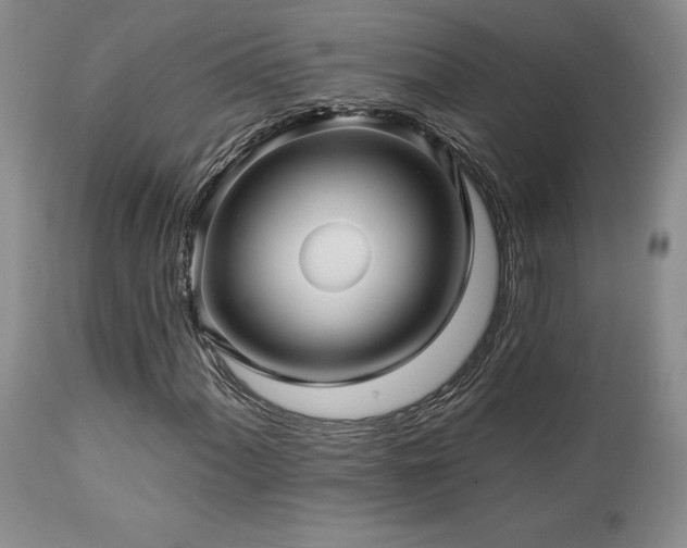 X0000113051060200908271525