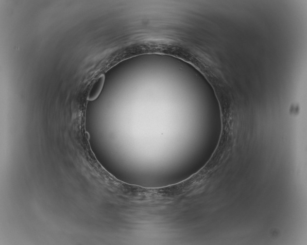 X0000113051061200908271525