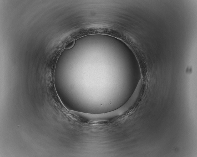 X0000113051062200908271525