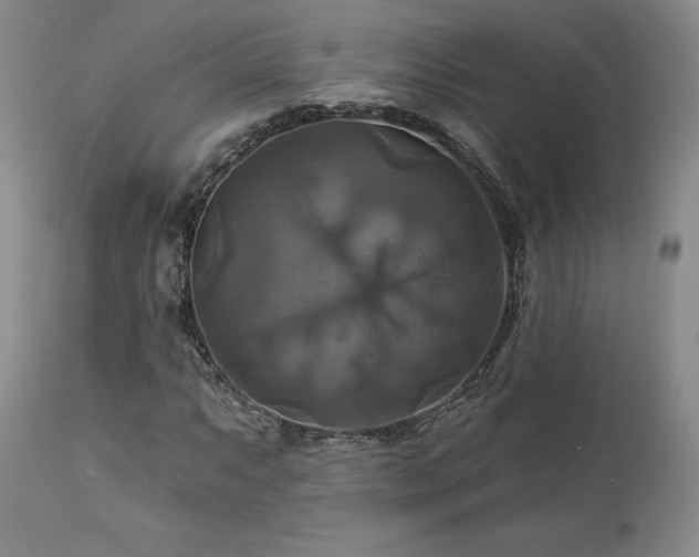 X0000113051063200908271525