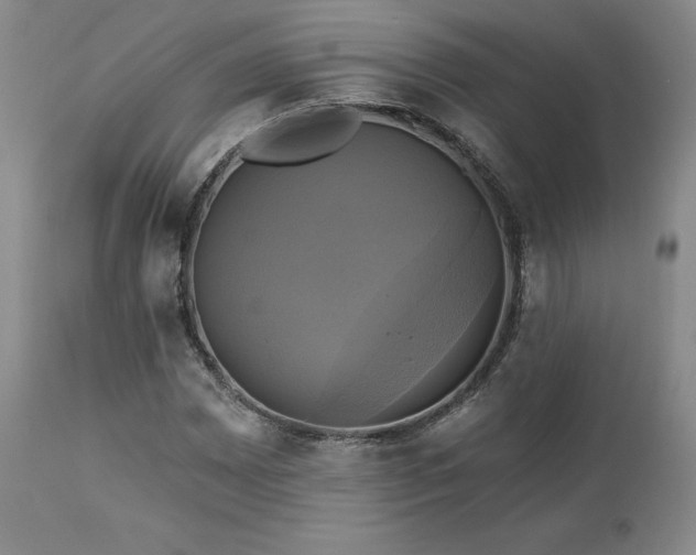 X0000113051065200908271525