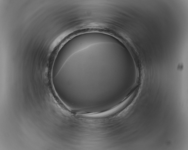 X0000113051066200908271525