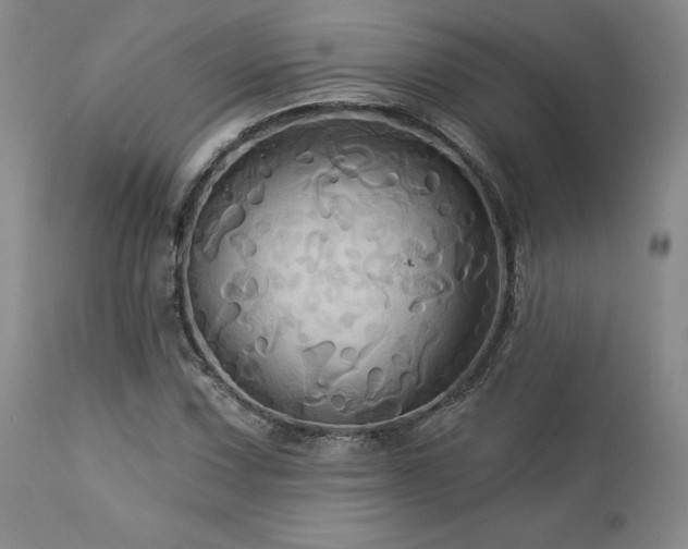 X0000113051067200908271525
