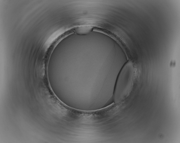 X0000113051069200908271525