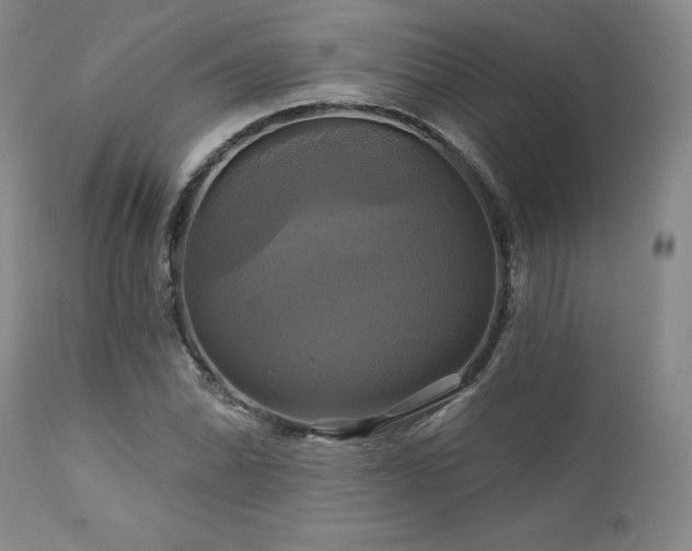 X0000113051070200908271525