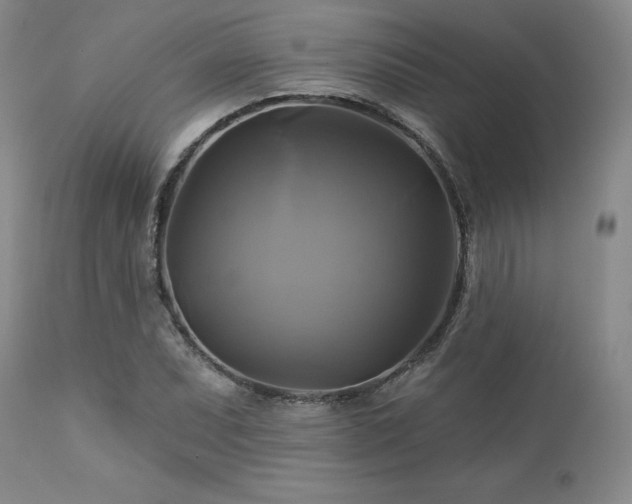 X0000113051071200908271525