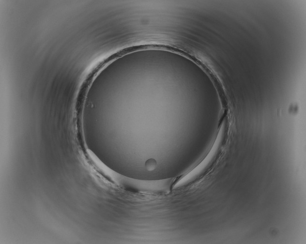 X0000113051072200908271525