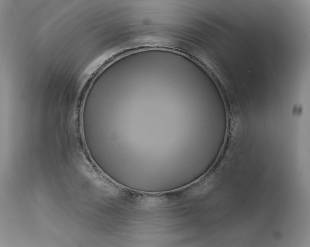X0000113051074200908271525