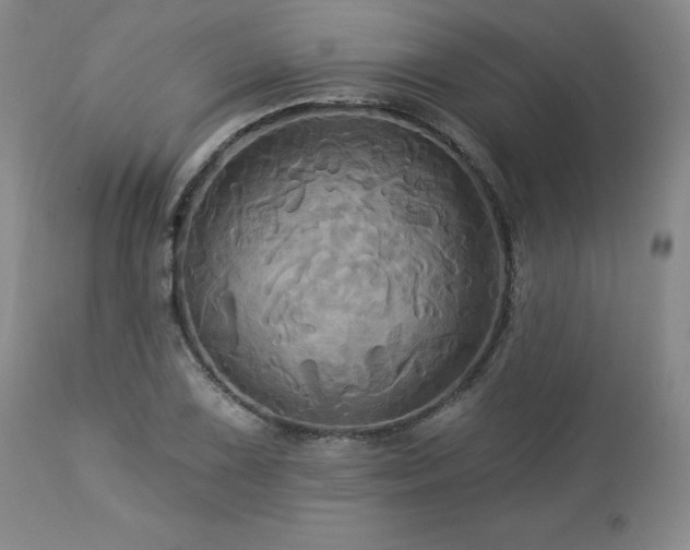 X0000113051075200908271525
