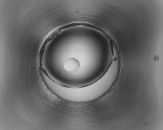 X0000113051076200908271525
