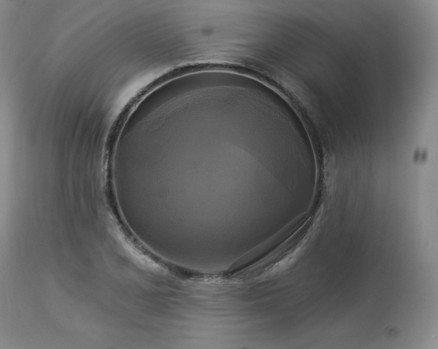X0000113051077200908271525