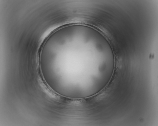 X0000113051078200908271525