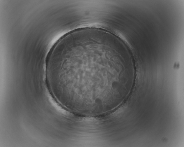 X0000113051079200908271525