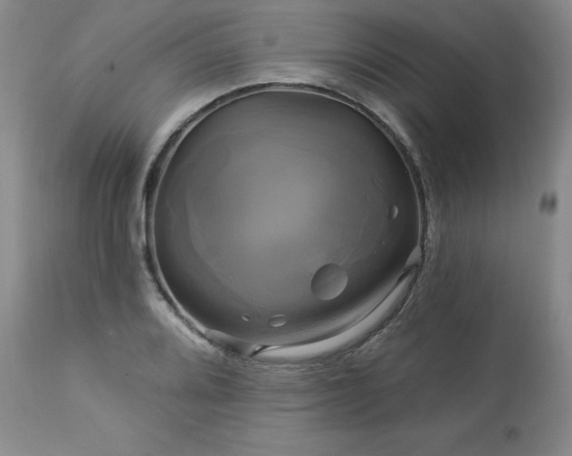 X0000113051080200908271525