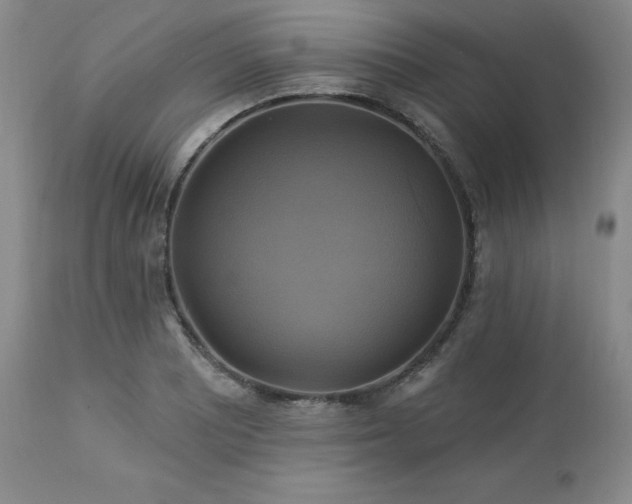 X0000113051081200908271525