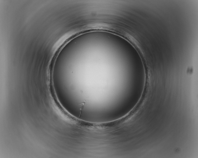 X0000113051082200908271525