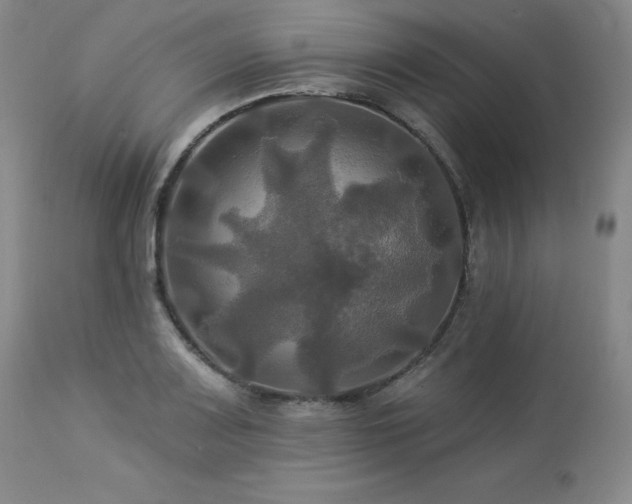 X0000113051083200908271525