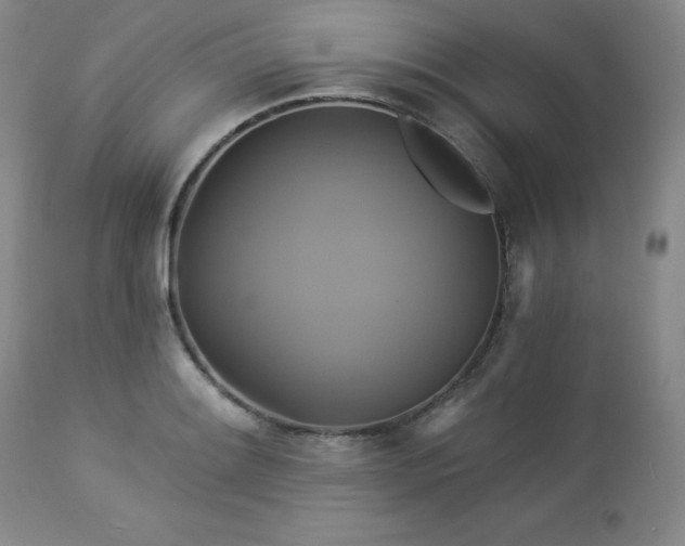 X0000113051084200908271525