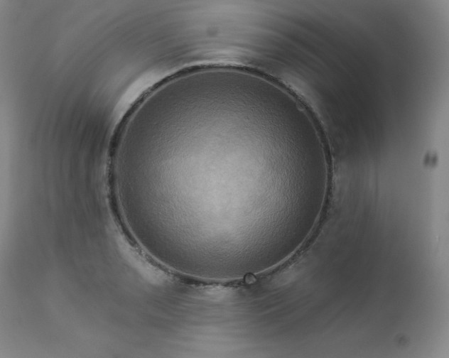 X0000113051085200908271525