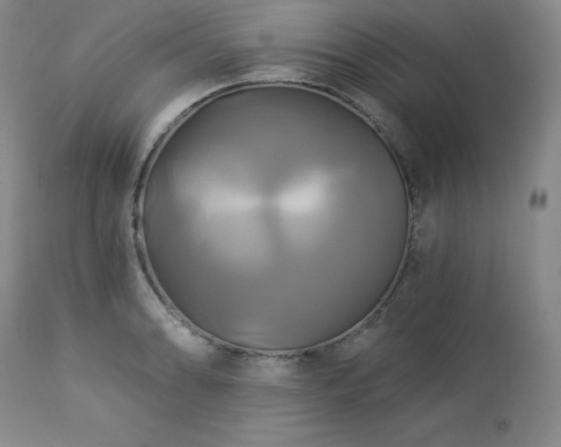 X0000113051086200908271525