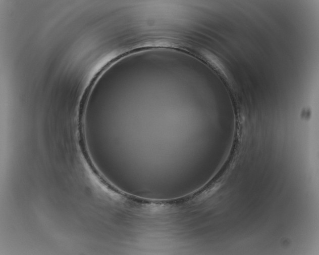 X0000113051087200908271525