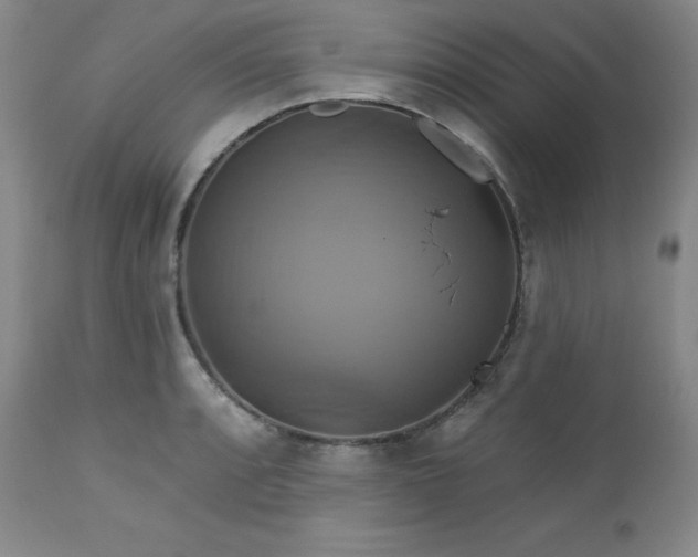 X0000113051088200908271525