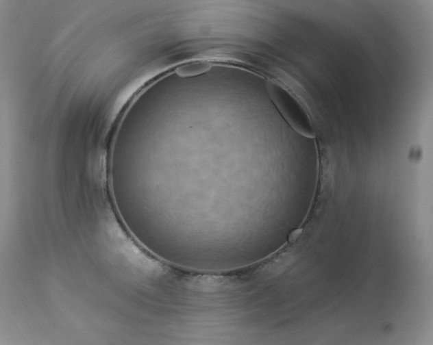 X0000113051092200908271525