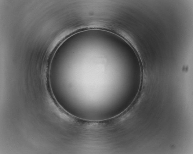 X0000113051093200908271525