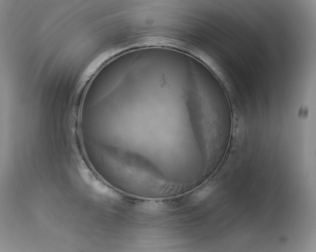 X0000113051094200908271525