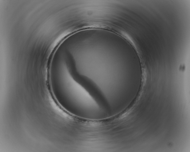 X0000113051095200908271525