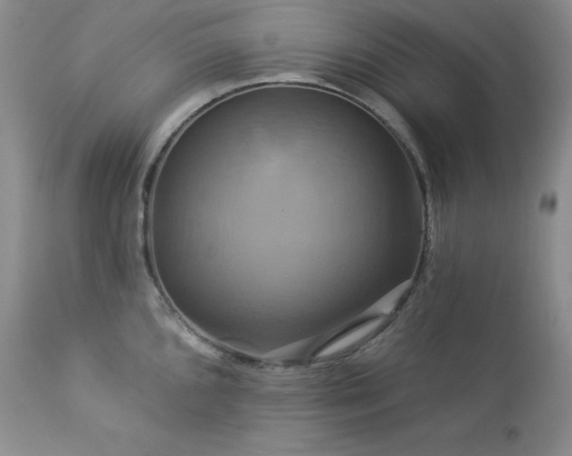 X0000113051096200908271525