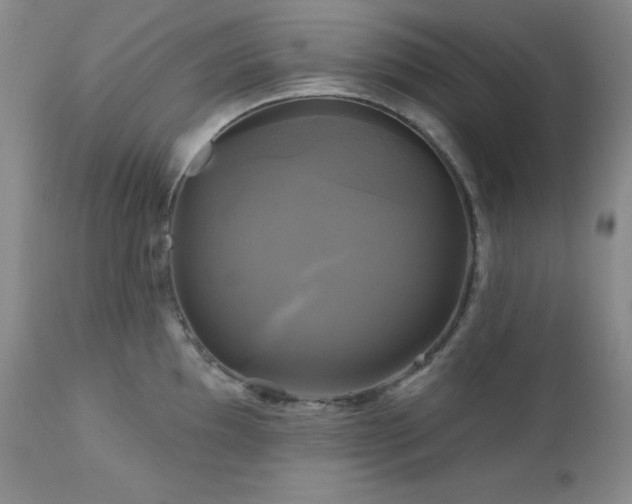 X0000113051097200908271525