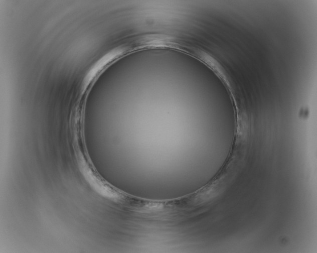 X0000113051098200908271525