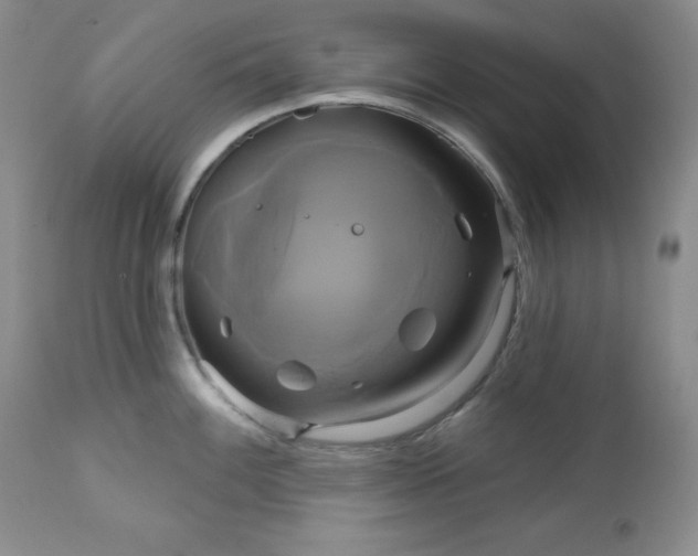 X0000113051100200908271525