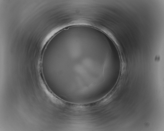 X0000113051101200908271525