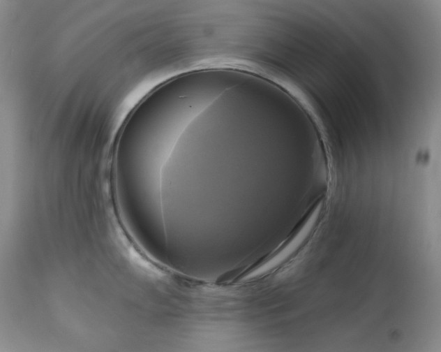 X0000113051102200908271525