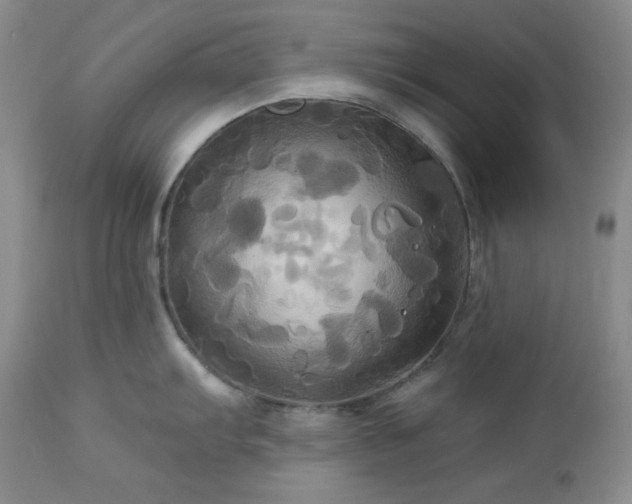 X0000113051103200908271525