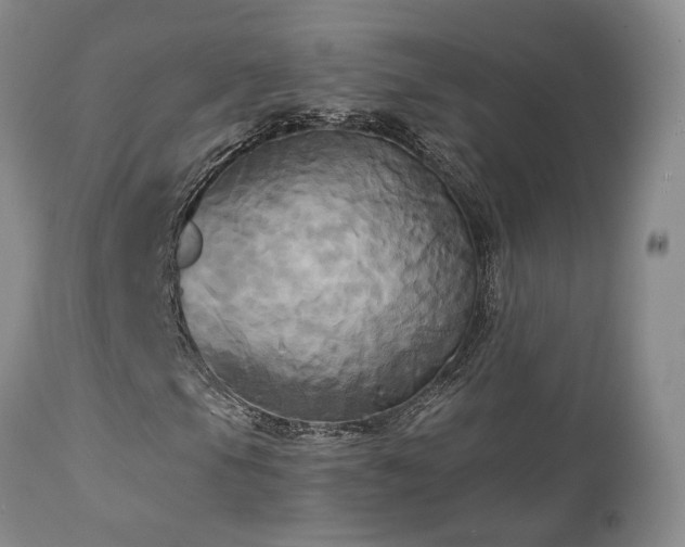 X0000113051105200908271524