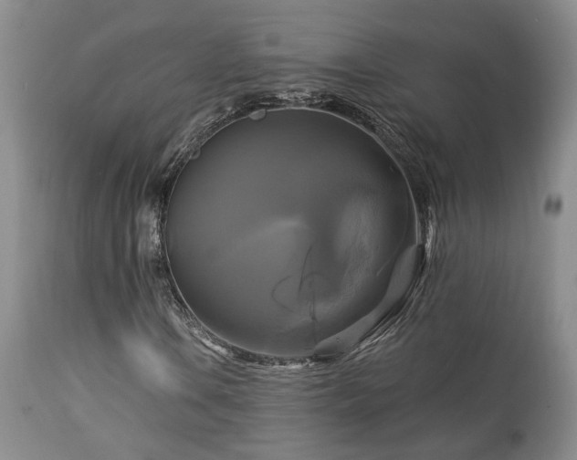 X0000113051106200908271524