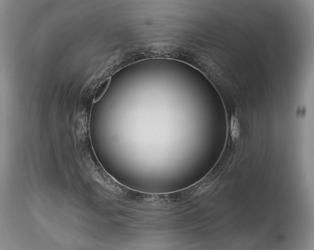 X0000113051107200908271524