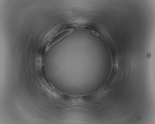 X0000113051108200908271524