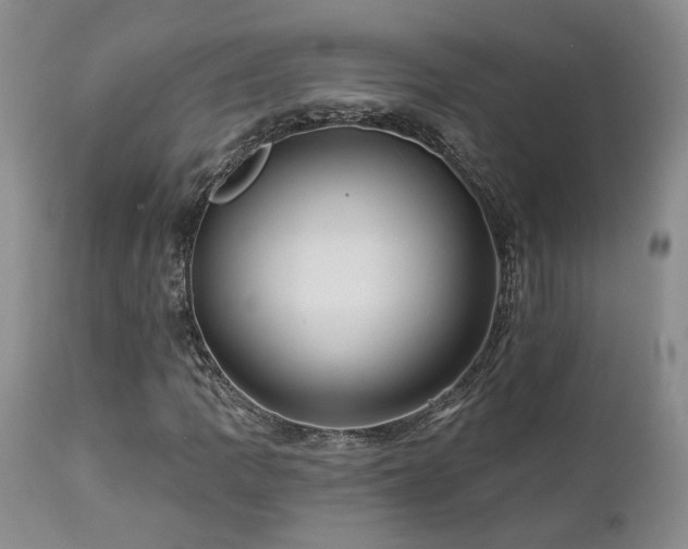 X0000113051109200908271524