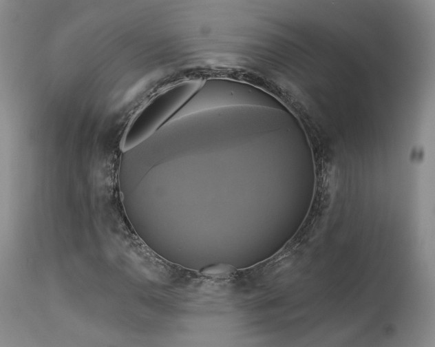 X0000113051110200908271524