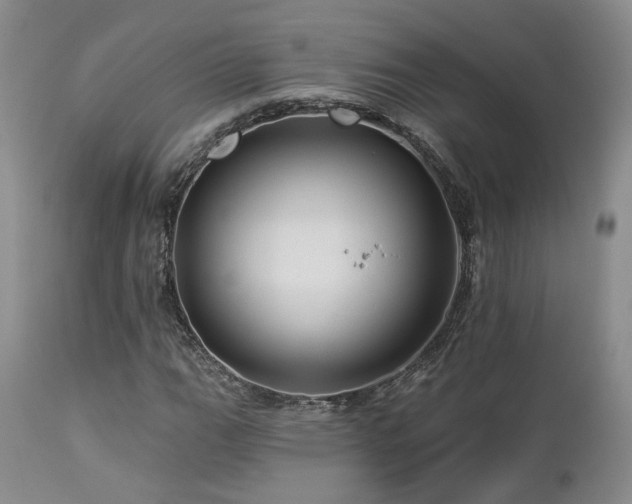 X0000113051111200908271524